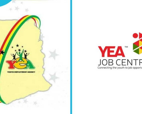 YEA Assessment Synbridge Consulting