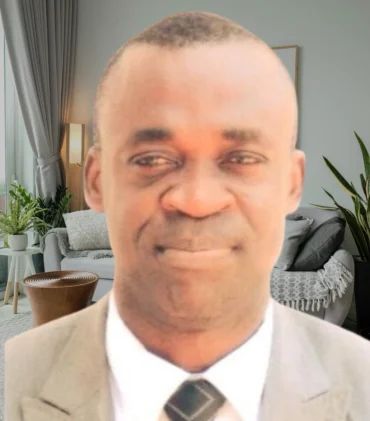 Prof. Obi Berko Damoah Synbridge consulting limited