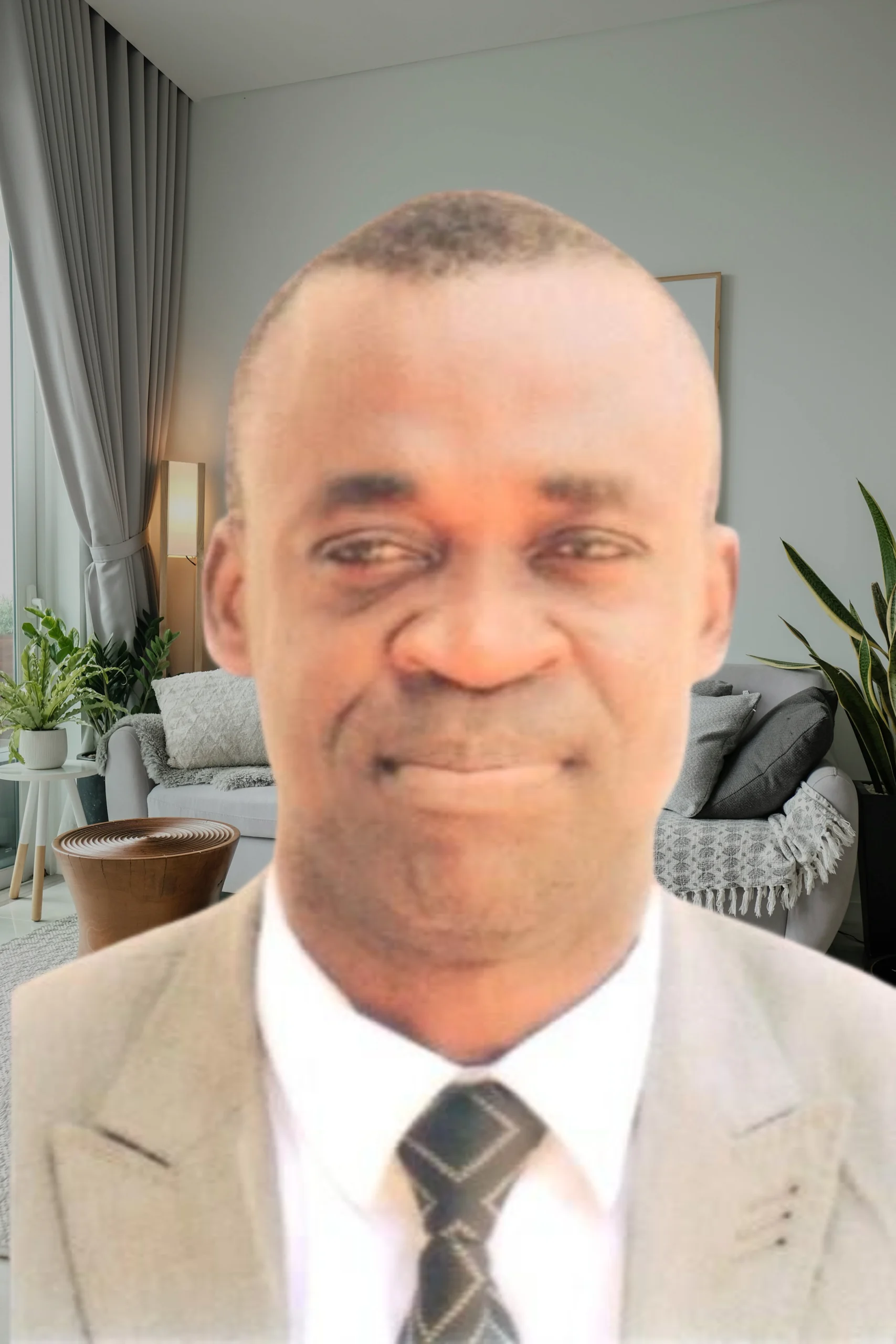 Prof. Obi Berko Damoah Synbridge consulting limited